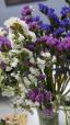 Limonium ծաղիկների | ծաղկեպսակների առաքում Երևան