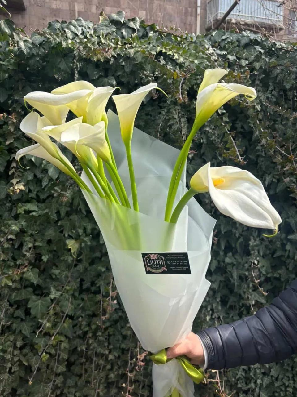 White calla lilies | ծաղիկներ, ծաղկեպսակներ, բույսեր Երևան