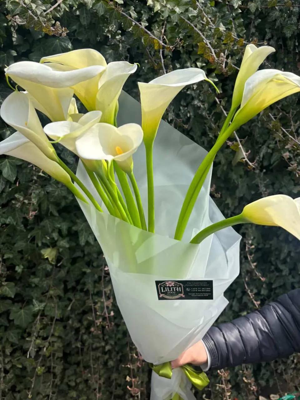 White calla lilies | ծաղիկներ, ծաղկեպսակներ, բույսեր Երևան