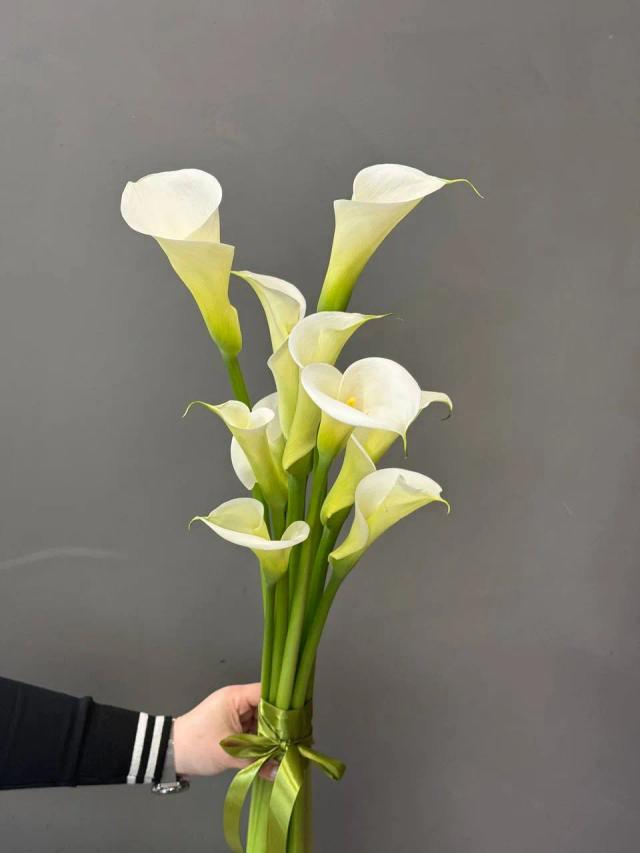 Callas | ծաղիկներ, ծաղկեպսակներ, բույսեր - առաքում Երևան
