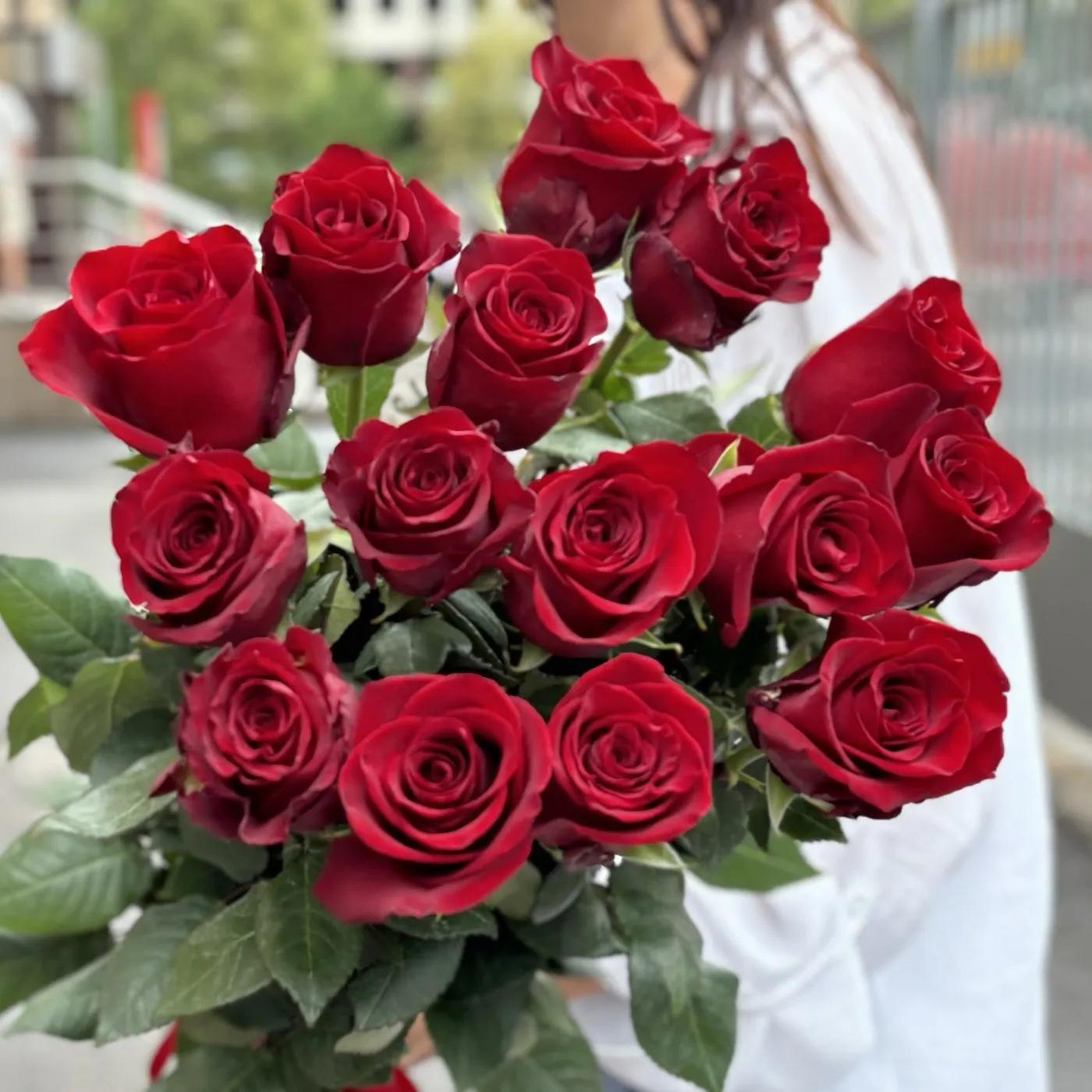 Dutch burgundy roses | ծաղիկներ, ծաղկեպսակներ, բույսեր Երևան