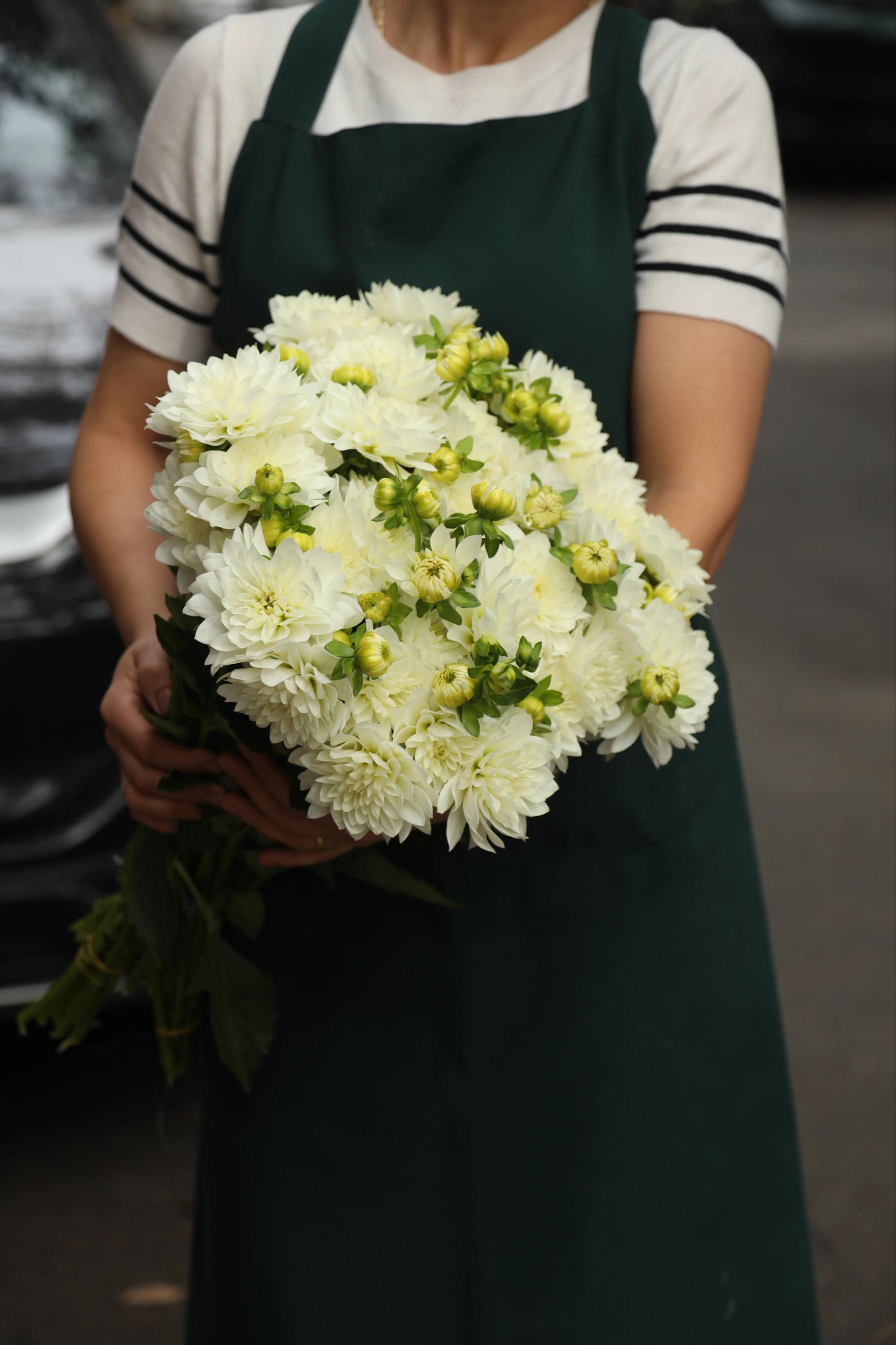 A bunch of white chrysanthemums | ծաղիկներ, ծաղկեպսակներ, բույսեր Երևան