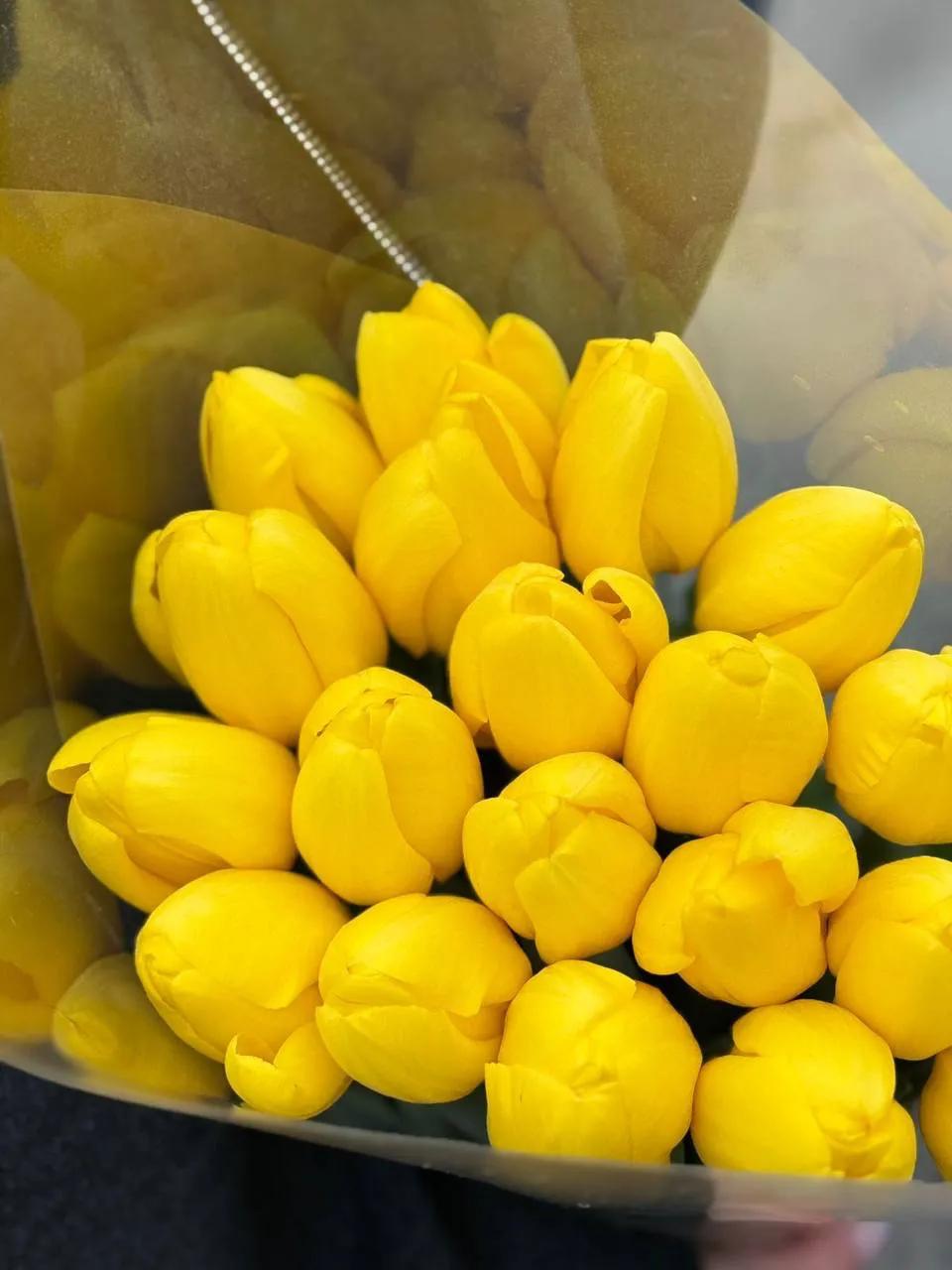Yellow tulips | ծաղիկներ, ծաղկեպսակներ, բույսեր Երևան