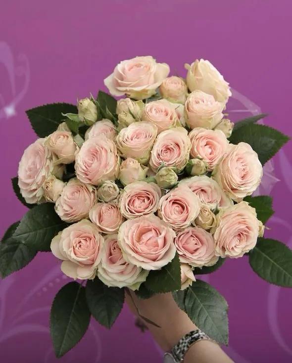 Elegant bunches | ծաղիկներ, ծաղկեպսակներ, բույսեր Երևան Elegant bunches | ծաղիկներ, ծաղկեպսակներ, բույսեր Երևան