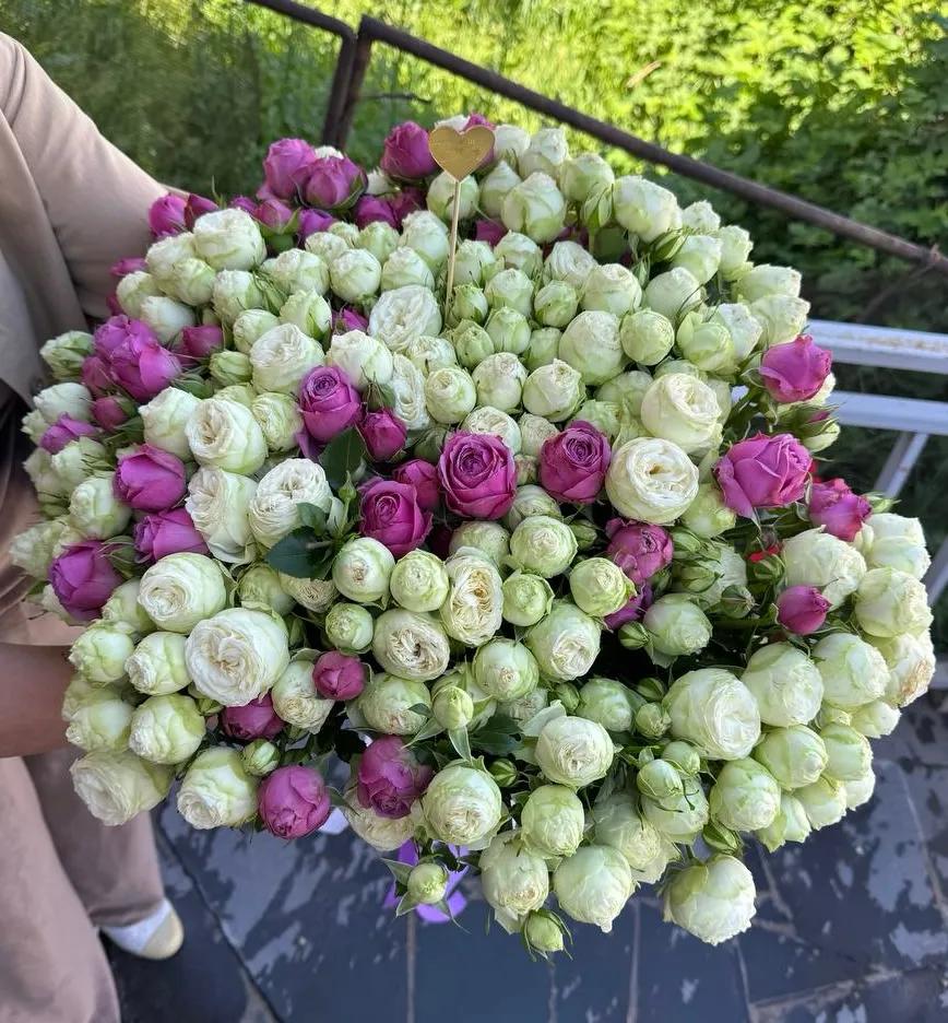Peony-like bunched roses | ծաղիկներ, ծաղկեպսակներ, բույսեր Երևան Peony-like bunched roses | ծաղիկներ, ծաղկեպսակներ, բույսեր Երևան